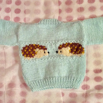 Hedgehog Sweater Set