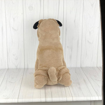 Pug Puppy