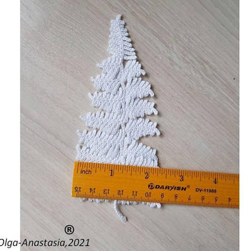Fern branch