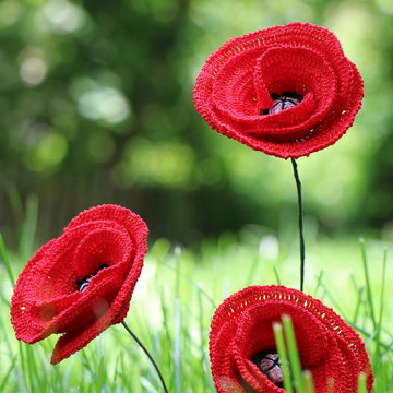 Poppy Flower