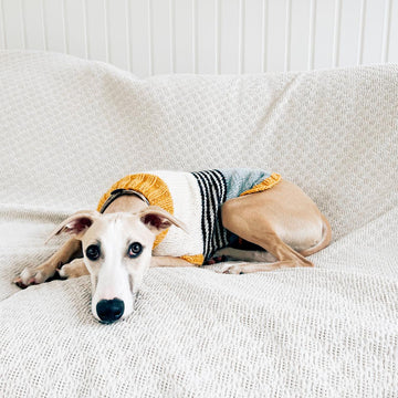 Doggo no 2 sweater