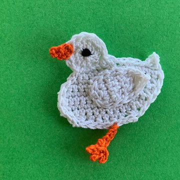 Duck