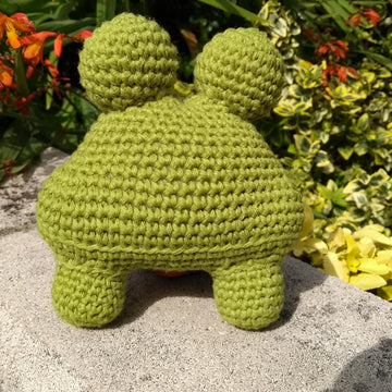 Floyd the Frog