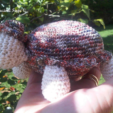 Miss Turtle