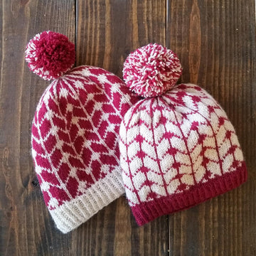 Big Stitch Beanie