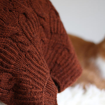 Cinnamomum pullover