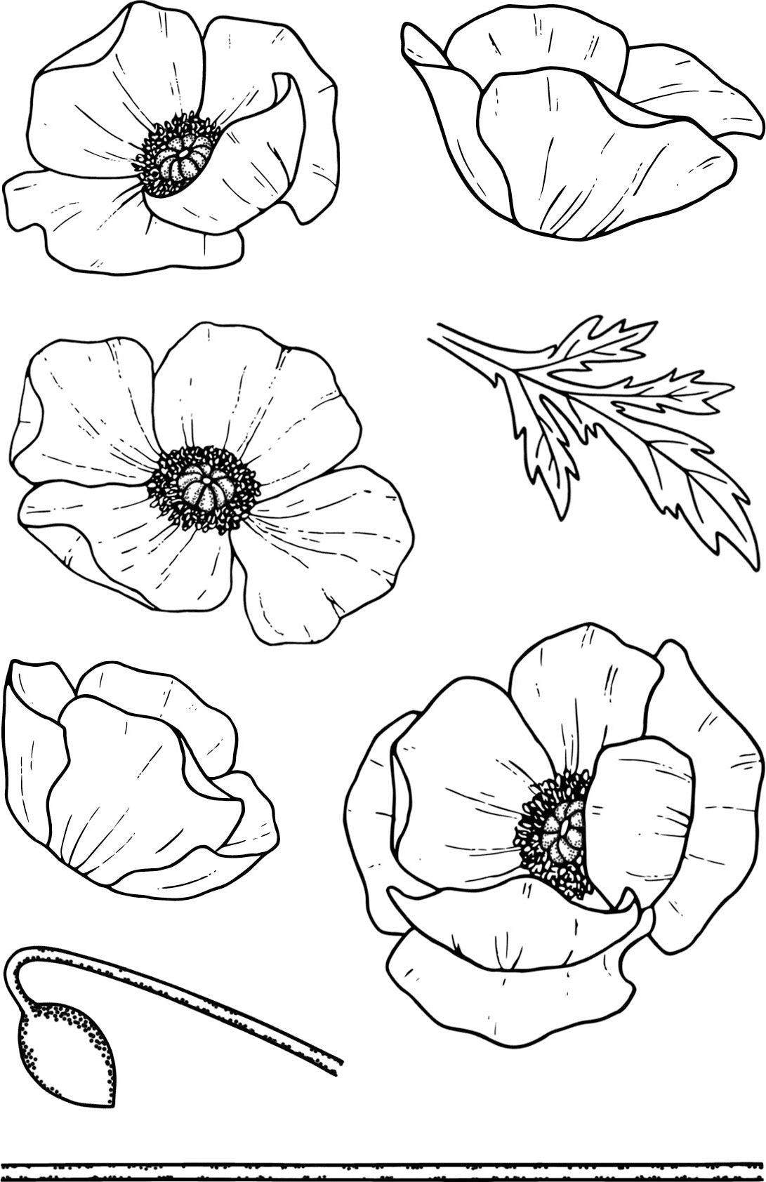 Jane's Doodles Clear Stamps 4"X6" - Poppy