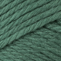 Lichen (55)