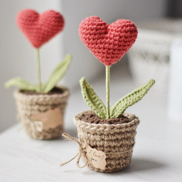 Valentine’s Day Heart Plant