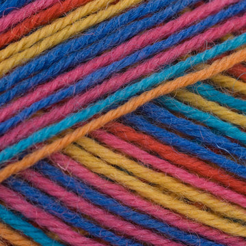 Regia 4 Ply Color 100g