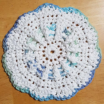 Dish Cloth 1