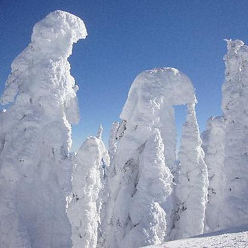 Snow Ghost