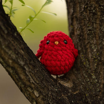 Ozzie the Hatching Cardinal