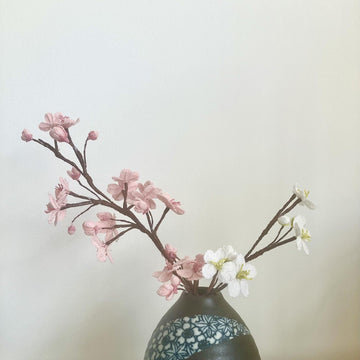 Cherry blossom branch