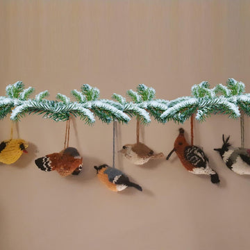Band of birds
