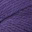 Violet (38)
