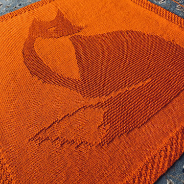 Fox Picture Blanket