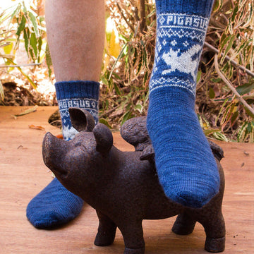 Pigasus Socks