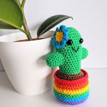 Rainbow Pride Cactus