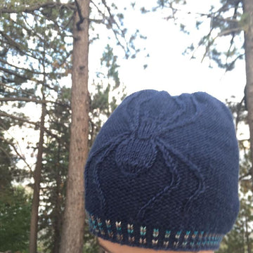 Genus Araneus (Spider) Hat