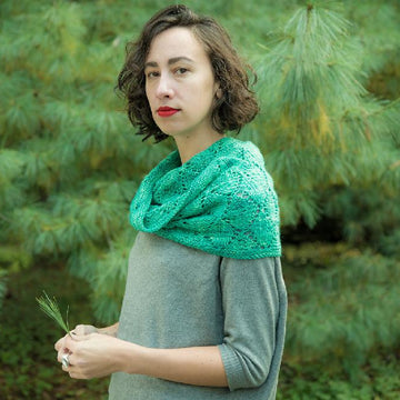Garrison Street Fingering Weight Scarf and Cowl