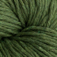 Avocado (549)