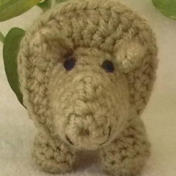 Bert the Triceratops