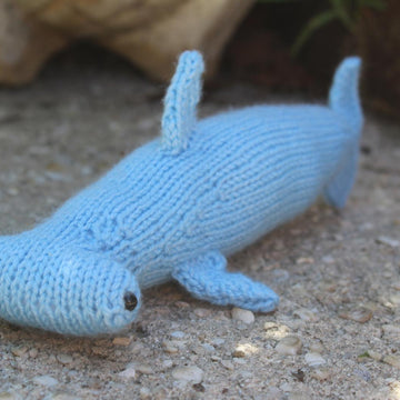 Hammerhead Shark