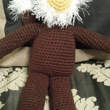 Bearded Monkey