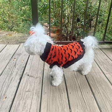 Going Batty Dog Sweater