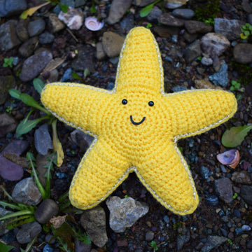 Eric the Starfish (crochet pattern)