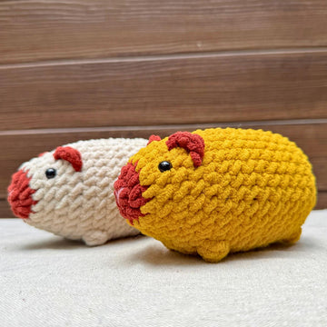 Chubby Guinea Pig