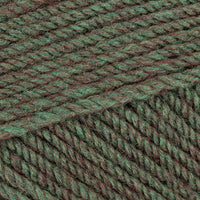 Forest (3504)