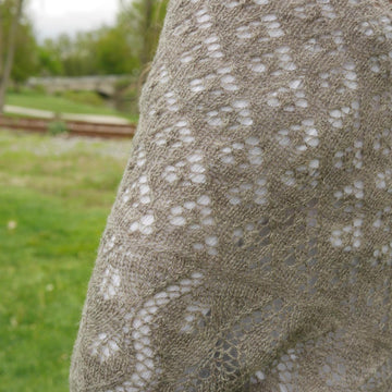 Frillibet Shawl