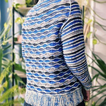Aquarius Raglan