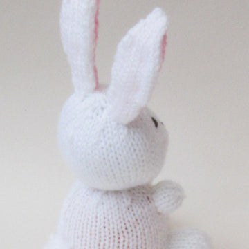 April Bunny Chocolate Orange Cosy