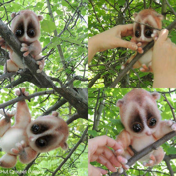 109 Slow Loris animal