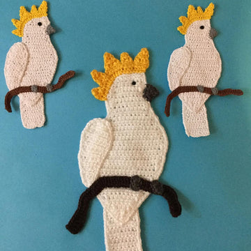 Cockatoo