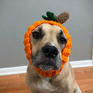 Pumpkin Dog Snood