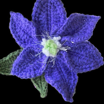Collection of Clematis crochet