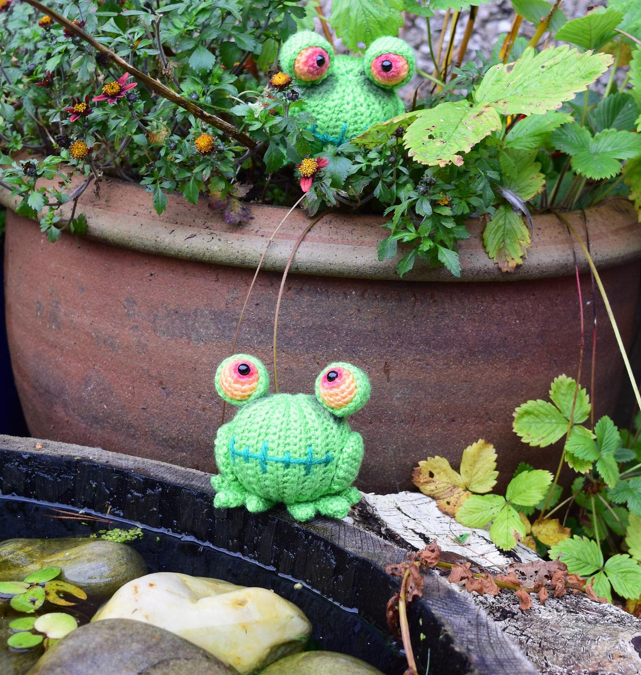 Frodrick Frogkenstein