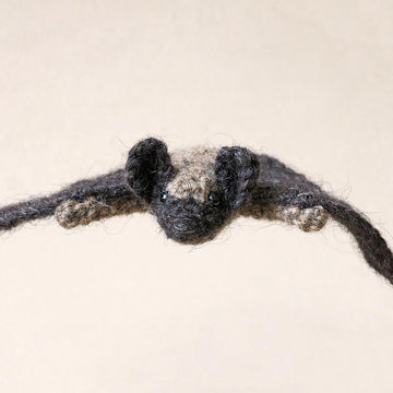 Mr. Batty the bat