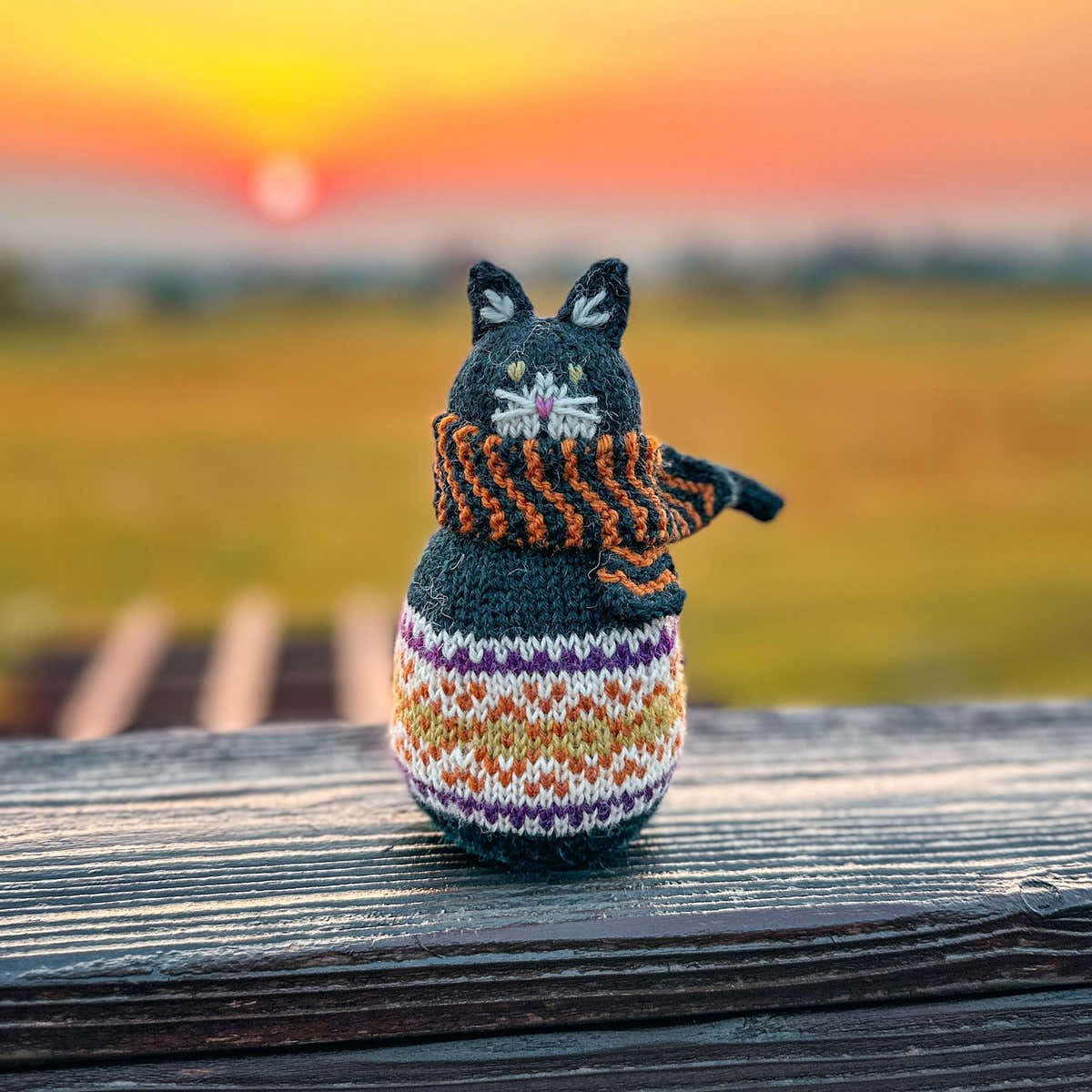 Colorwork Kitty
