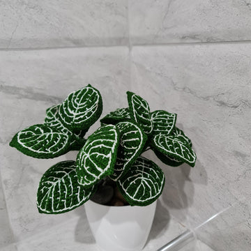 Crochet Nerve plant/Fittonia