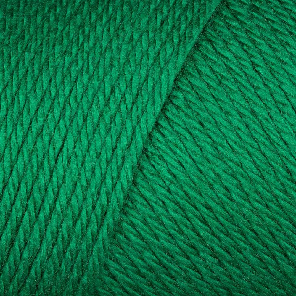 Caron Simply Soft