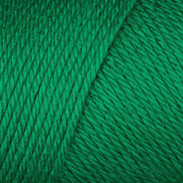 Caron Simply Soft