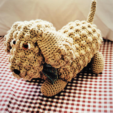Posh Puppy