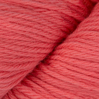 Salmon Rose (07)