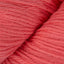 Salmon Rose (07)
