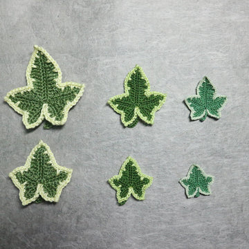 Variegated ivy leaves